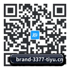iOS 苹果生态原生版 二维码